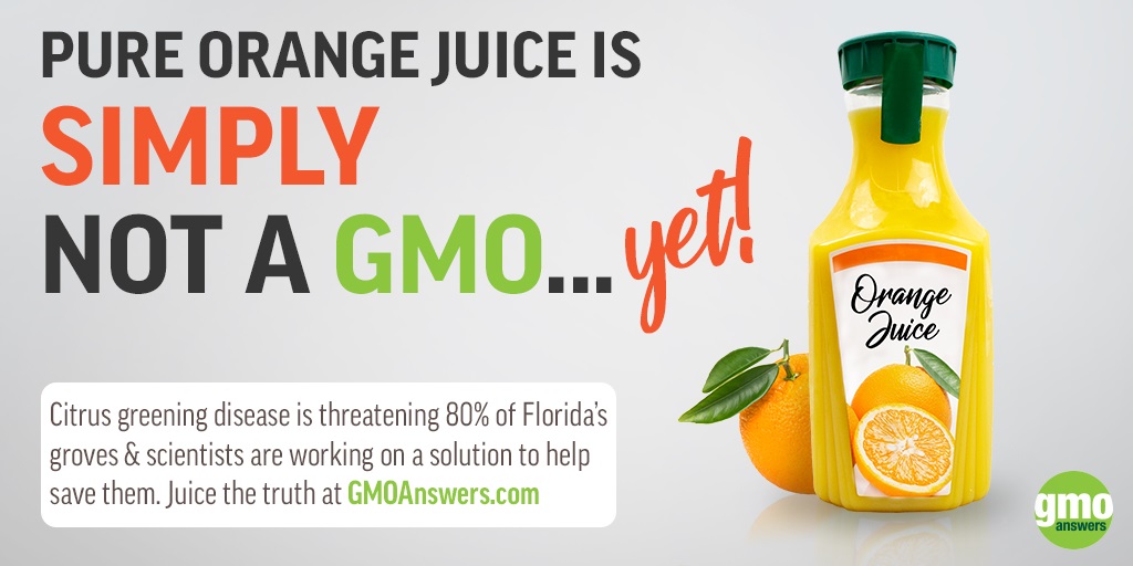 Current GMO Crops GMO Answers